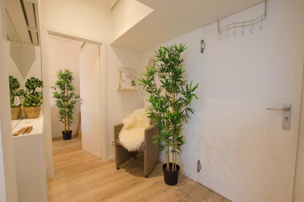 Casarina - Gemuetliches Apartment Im Zentrum Augsburg Ngoại thất bức ảnh