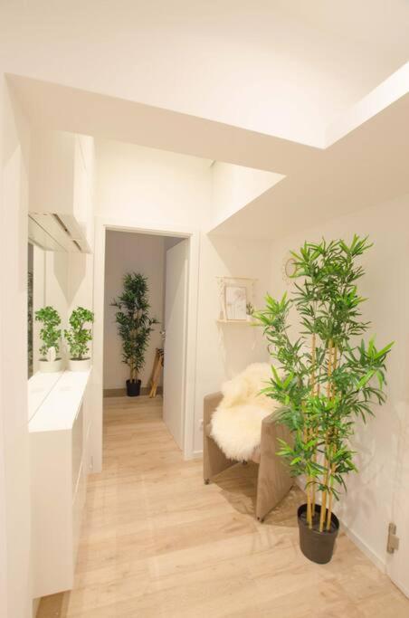 Casarina - Gemuetliches Apartment Im Zentrum Augsburg Ngoại thất bức ảnh